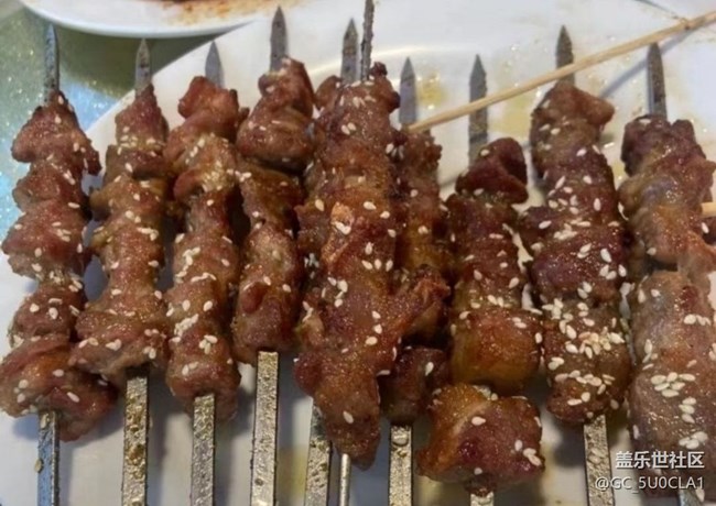 【知味春趣】烤串