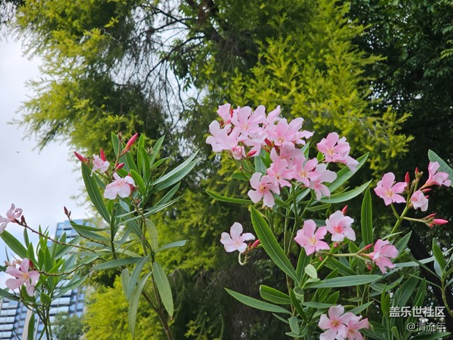 【醒春】春天来了