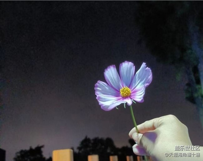 【春日踏青季】逛公园