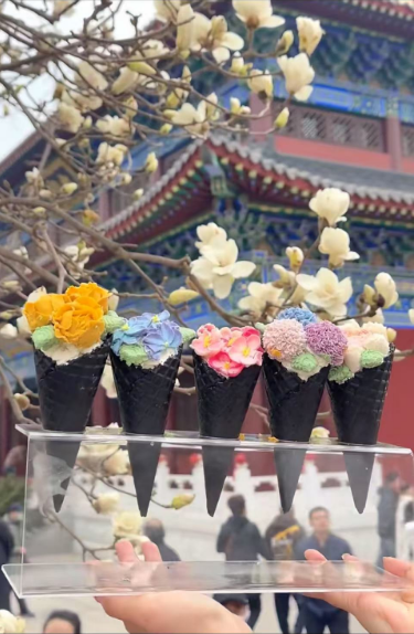 【青青嫩芽】东塔的玉兰花开了~