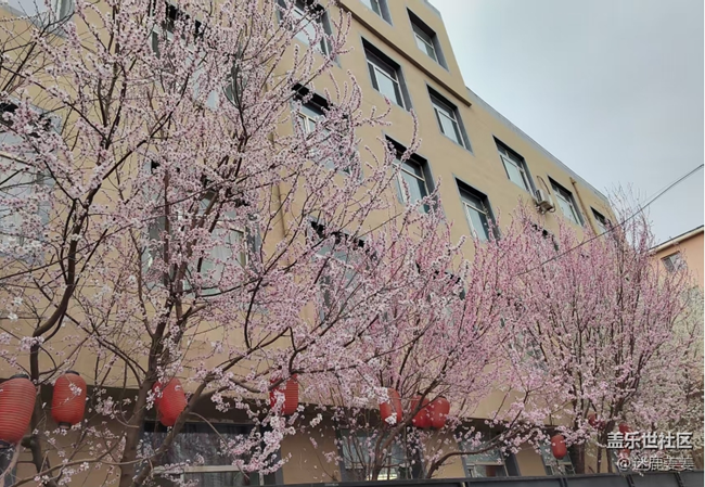 【青青嫩芽】万物复苏逛公园