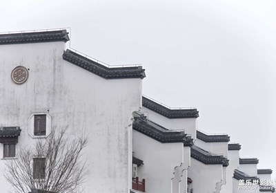 【生机盎然的世界】+水乡