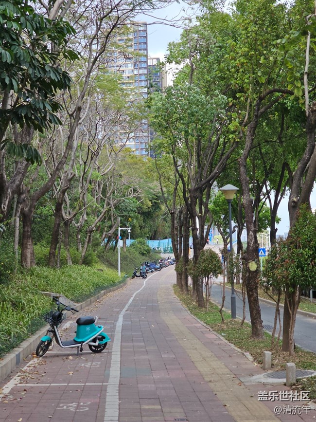 【约定3月的旅行】去徒步旅行