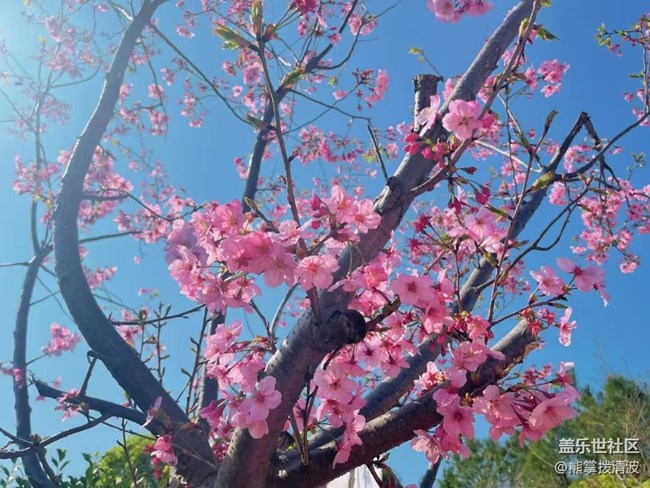 【春日踏青季】去有风的地方
