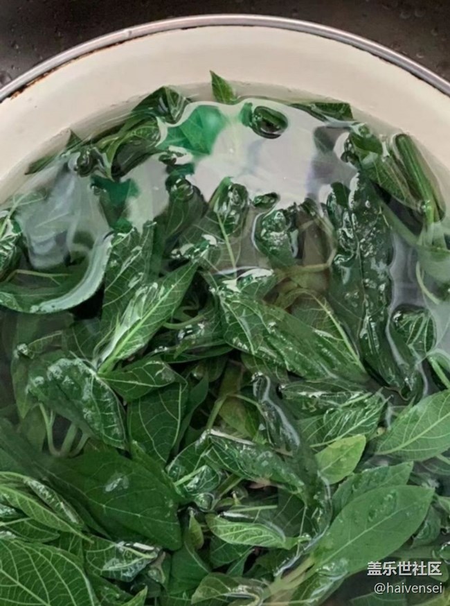 【春日踏青季】摘野菜