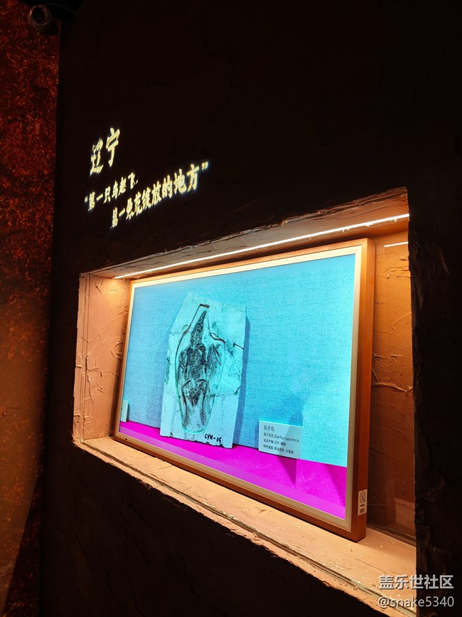 辽宁数享科技展……回顾