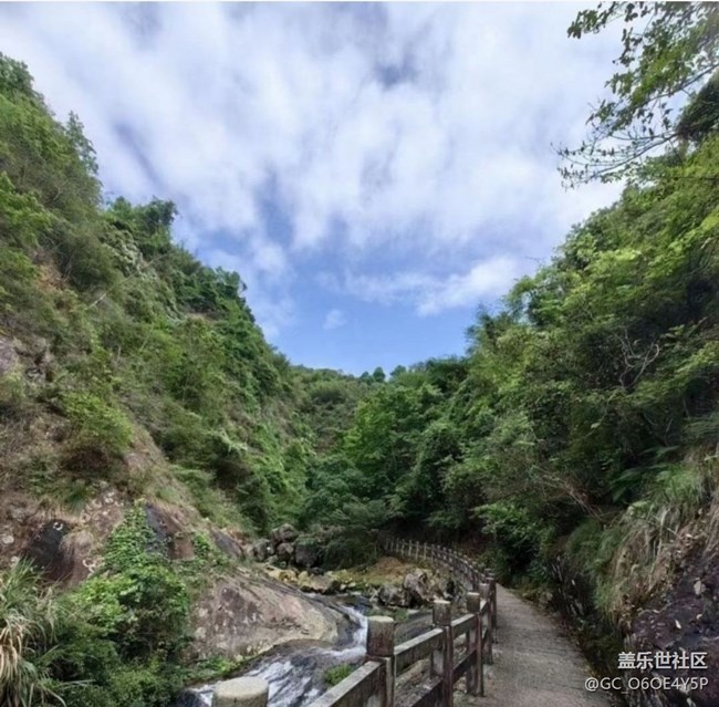 【春日踏青季】爬爬山