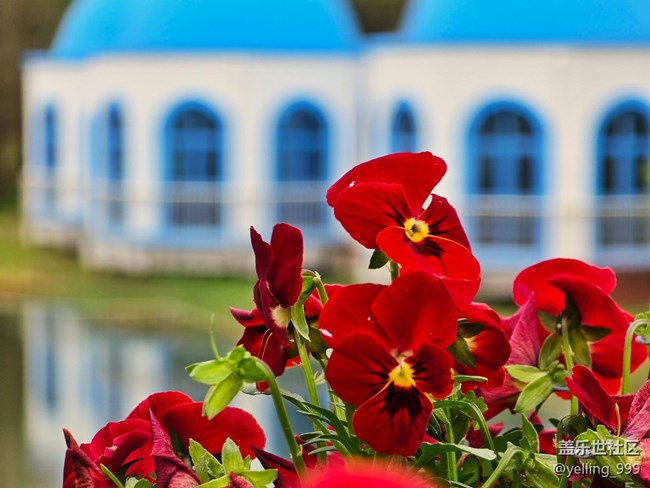 上海星部落3月29日闵行文化公园线下摄影活动回顾帖