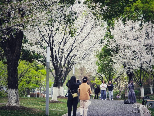 上海星部落3月29日闵行文化公园线下摄影活动回顾帖