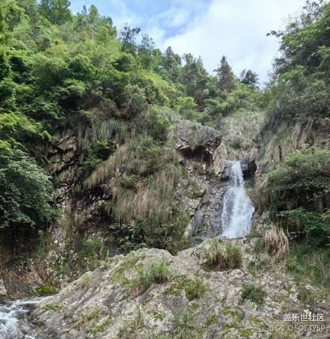 【春日踏青季】爬爬山