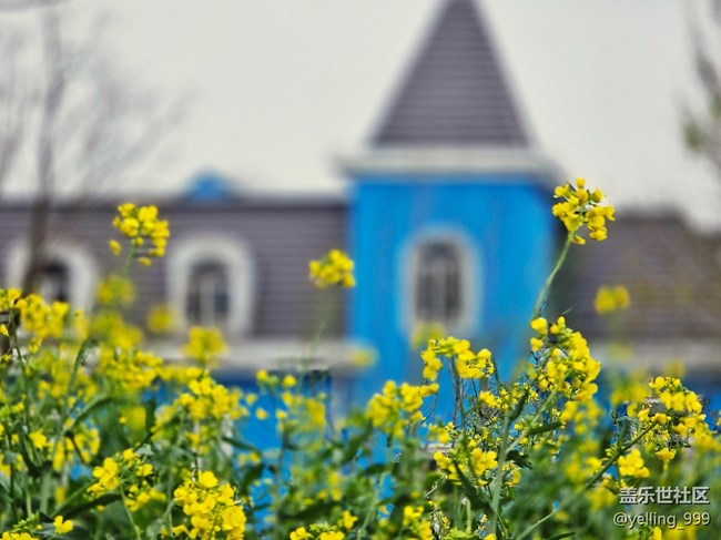 上海星部落3月29日闵行文化公园线下摄影活动回顾帖