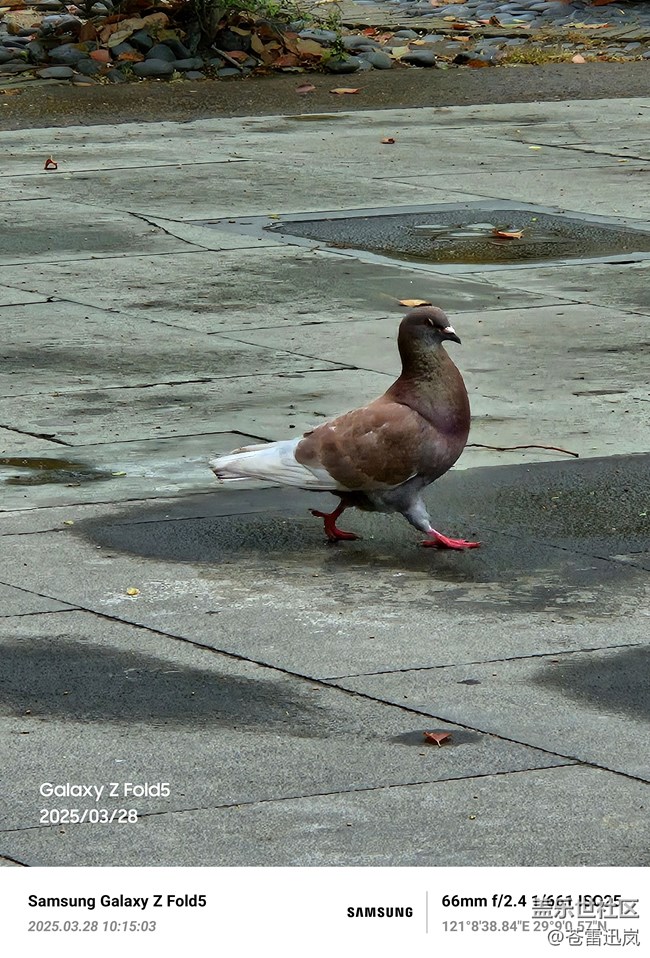【春日踏青季】曲径通幽处