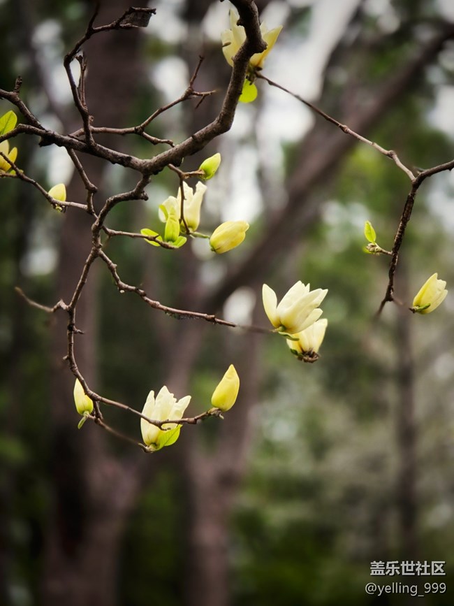 上海星部落3月29日闵行文化公园线下摄影活动回顾帖
