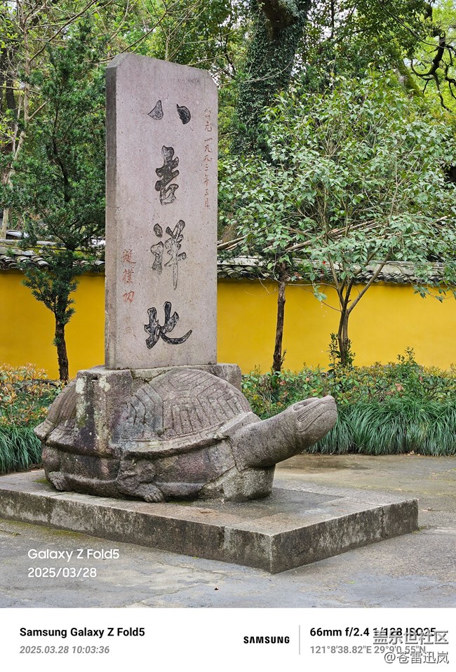 【春日踏青季】曲径通幽处