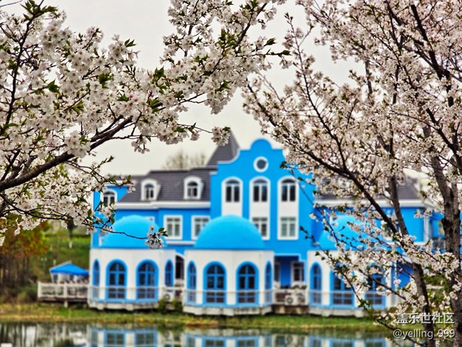 上海星部落3月29日闵行文化公园线下摄影活动回顾帖