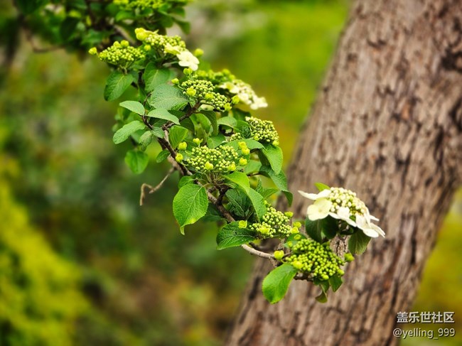 上海星部落3月29日闵行文化公园线下摄影活动回顾帖