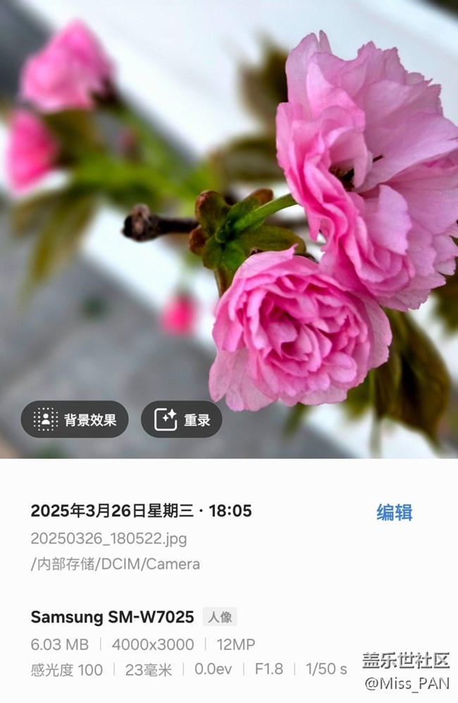 【3月照片核实】
