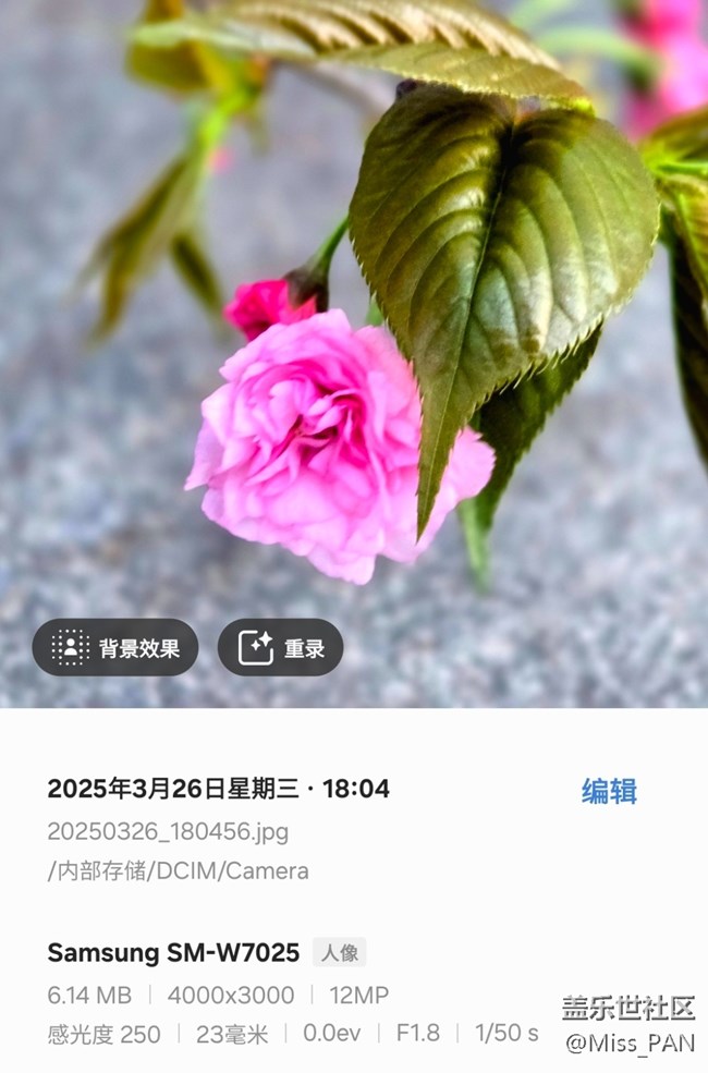 【3月照片核实】