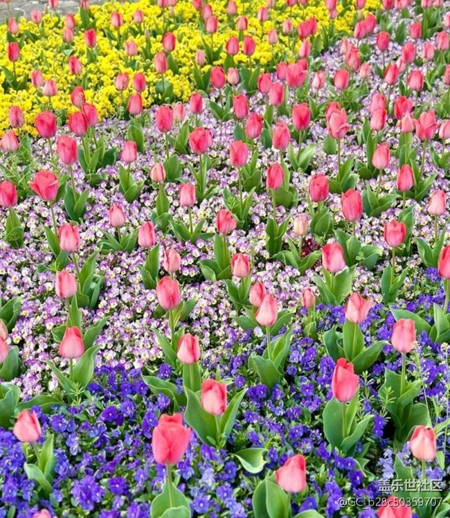 【春日踏青季】植物园