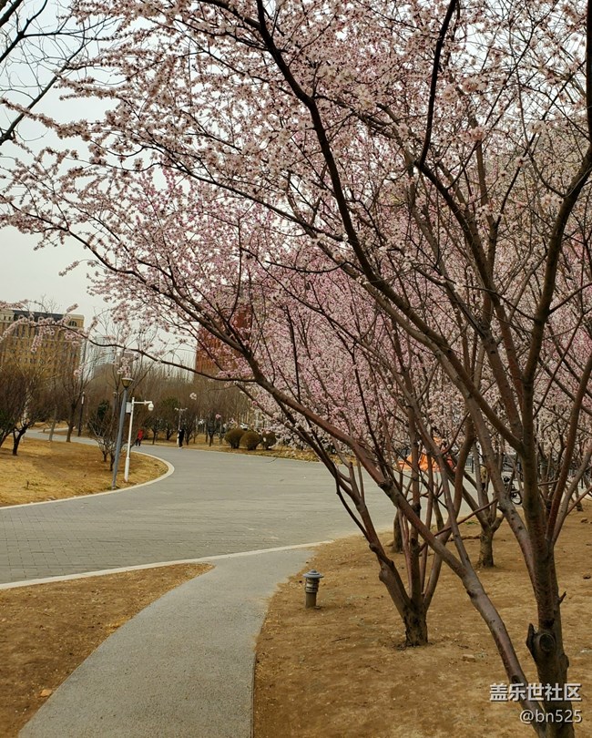 【约定3月的旅行】+一路花开