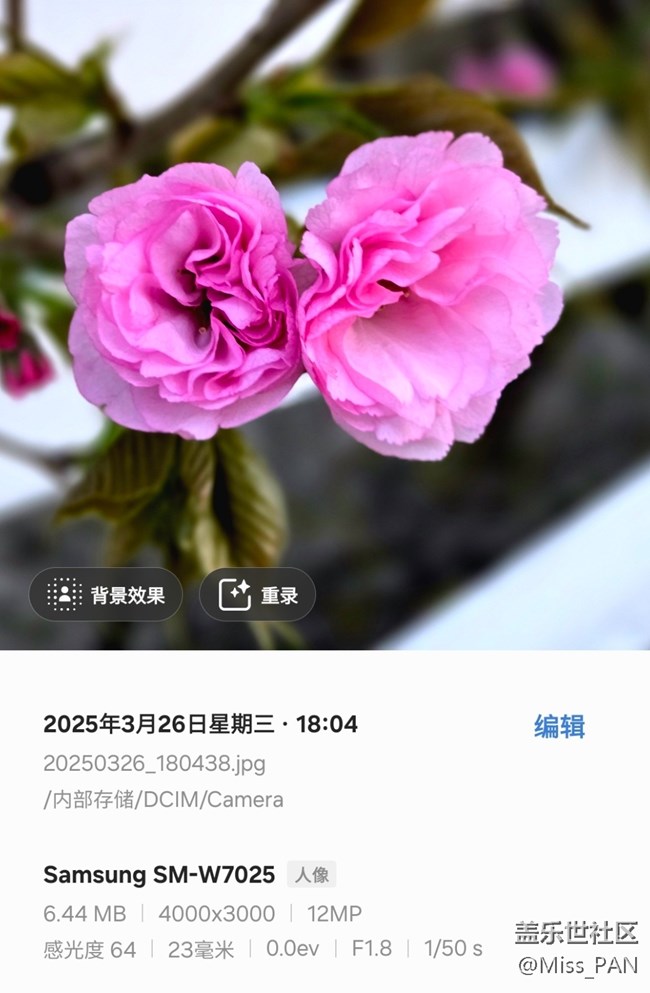 【3月照片核实】
