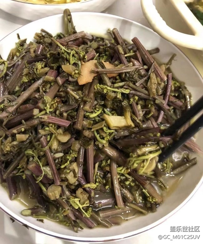 【知味春趣】素菜