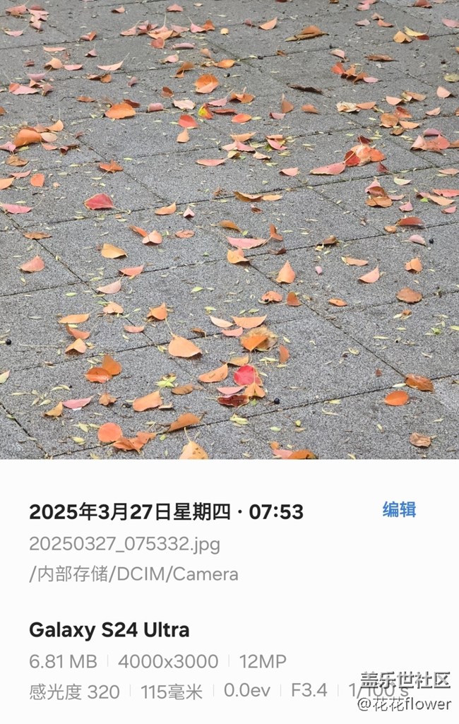 【3月照片核实】