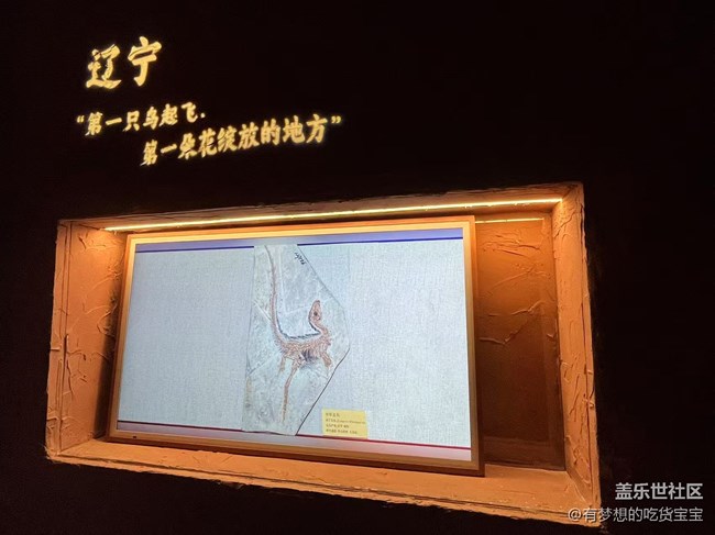 辽宁名品沉浸式艺术展游览及三星手机摄影回顾贴
