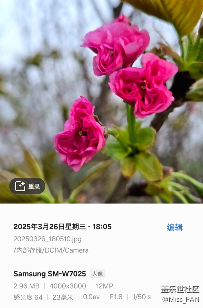 【3月照片核实】