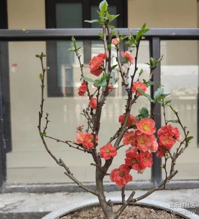 【春日踏青季】后花园