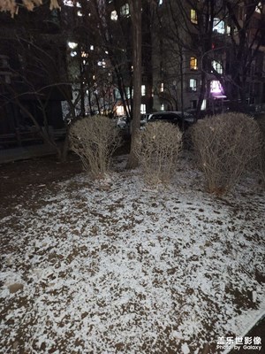 【春之夜】雪夜