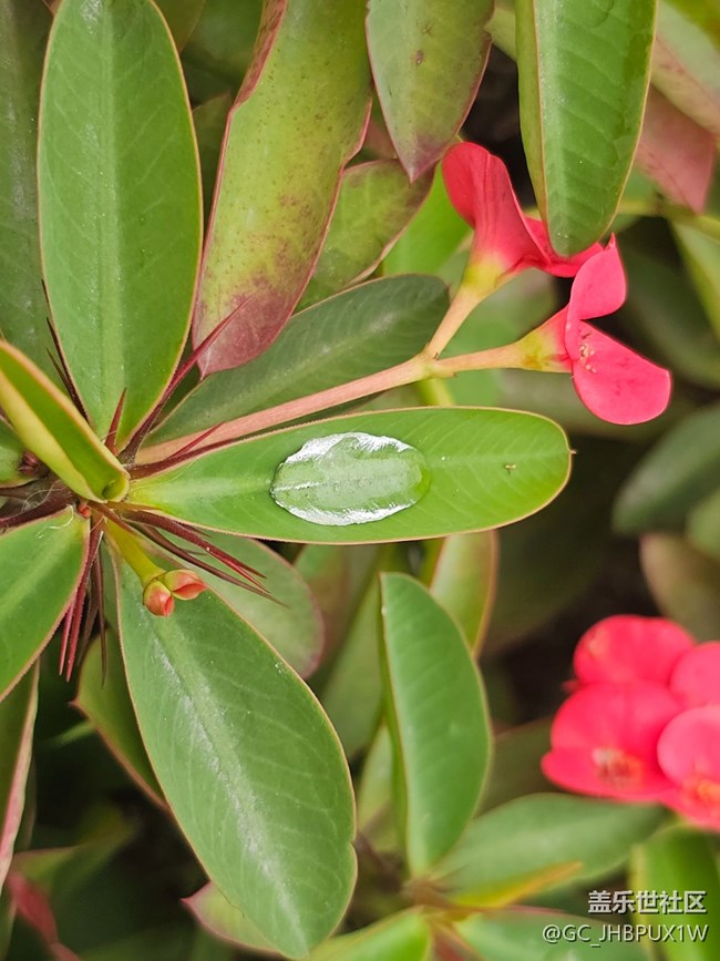【春日踏青季】雨后