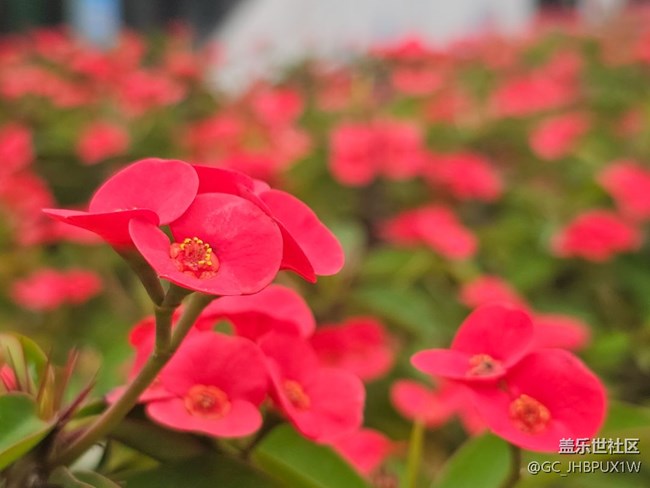 【春日踏青季】雨后