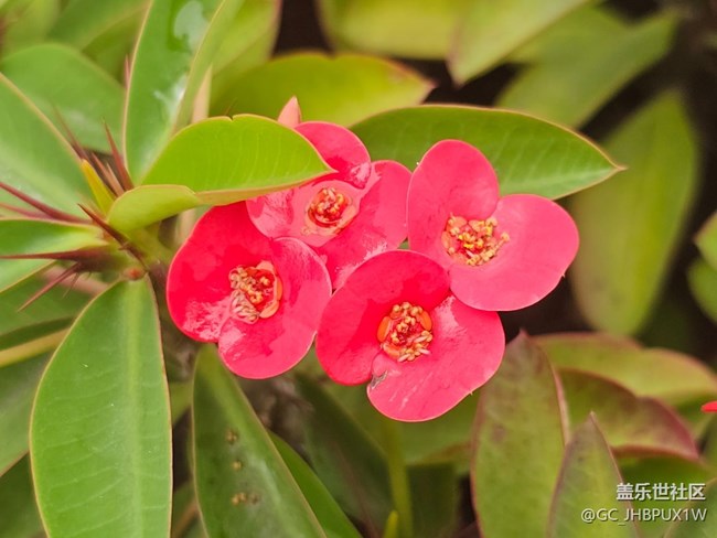 【春日踏青季】雨后
