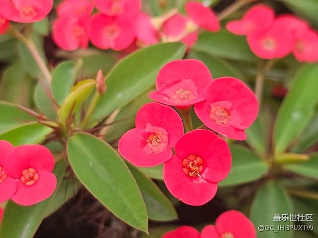 【春日踏青季】雨后