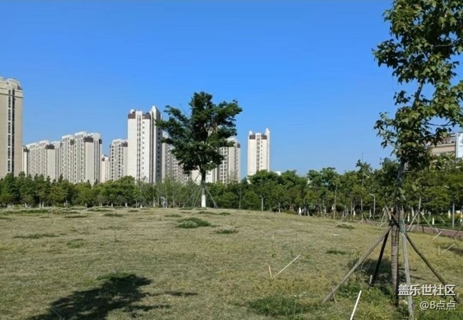 【春游记】城市一角