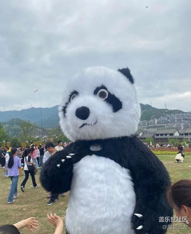 【春日盛景】农历三月三
