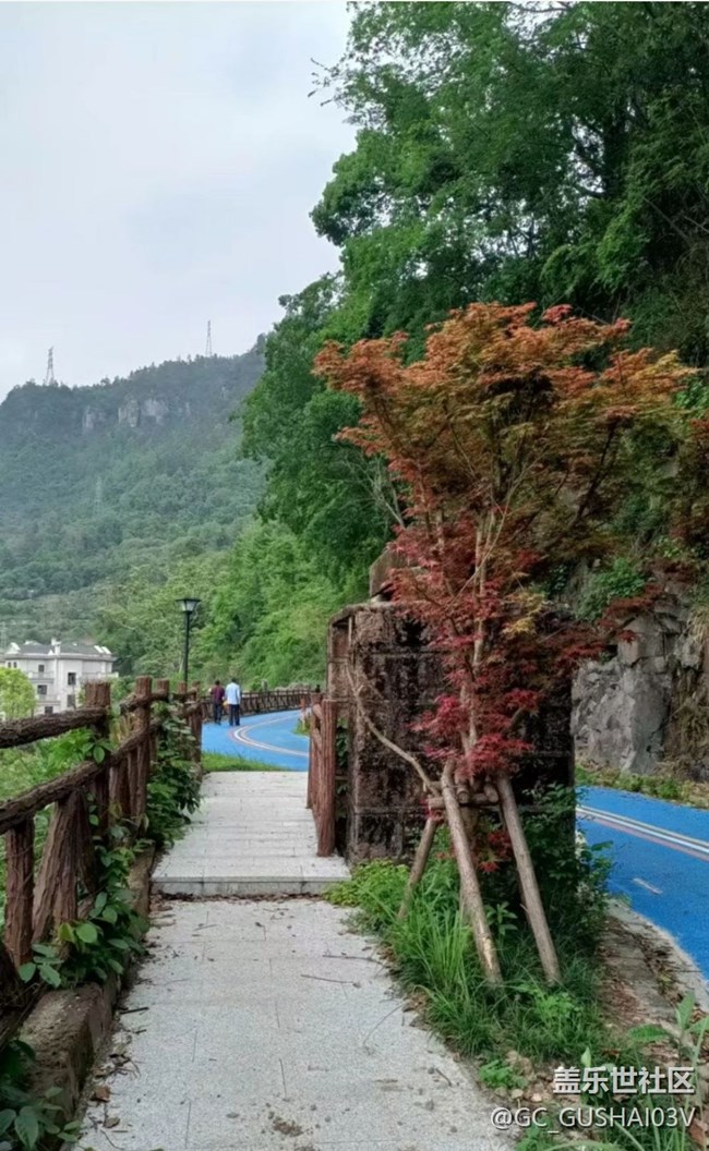 【春日盛景】后山散步
