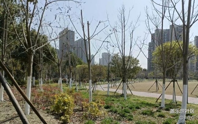 【春游记】城市一角
