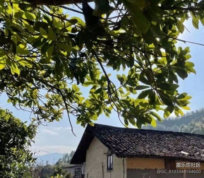 【春日盛景】乡村美景