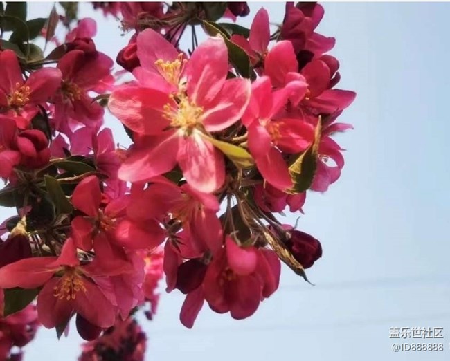 【春色撩人】春日公园