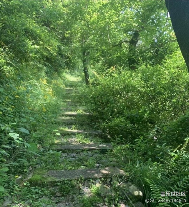【春游记】登山