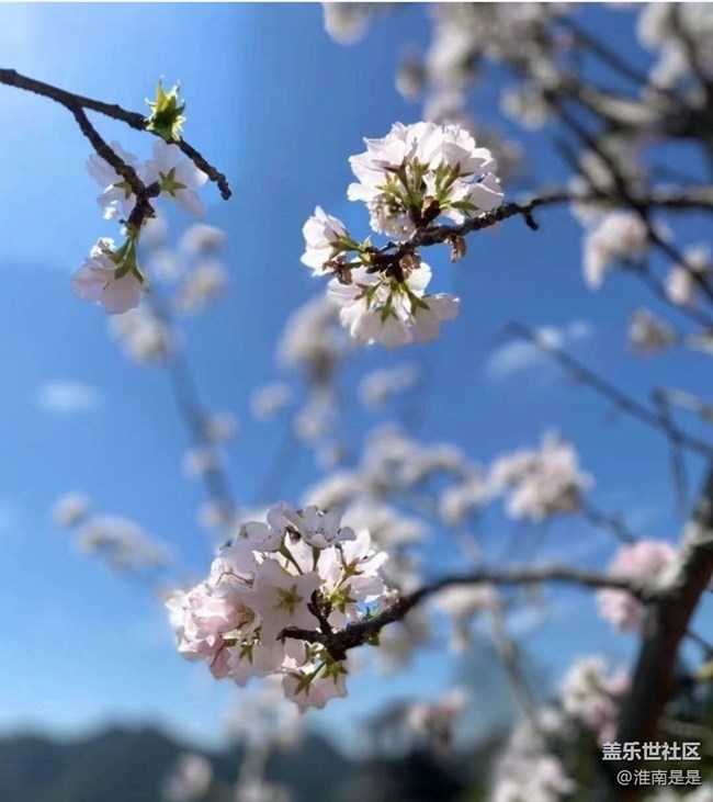 【春游记】暖春时节