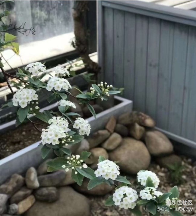 【春色撩人】繁花似锦