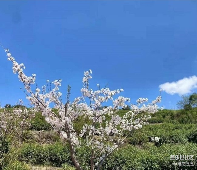 【春游记】暖春时节