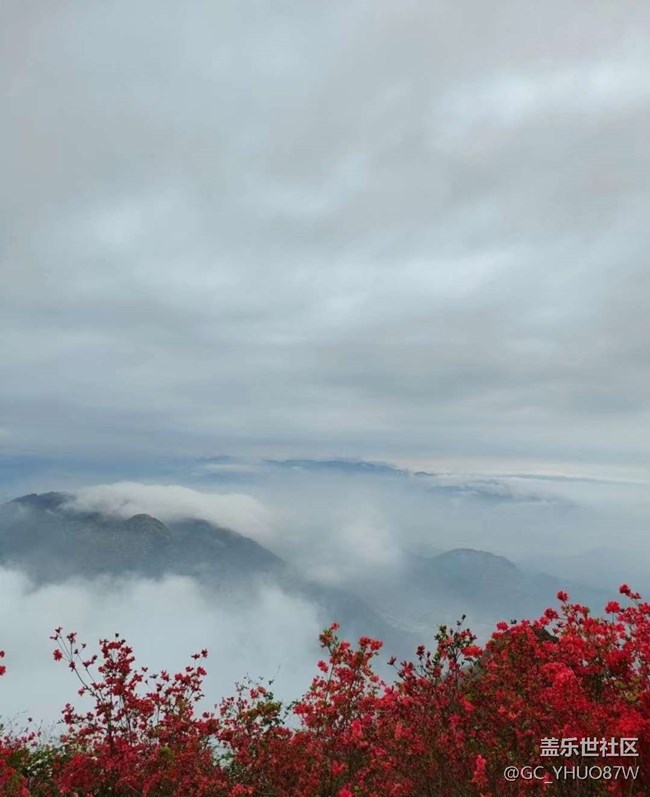 【春日盛景】满山红