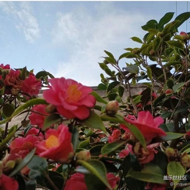 【清明踏春季】好风景