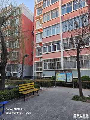 柳树发芽