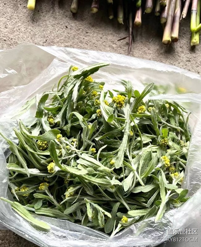【春色撩人】山珍