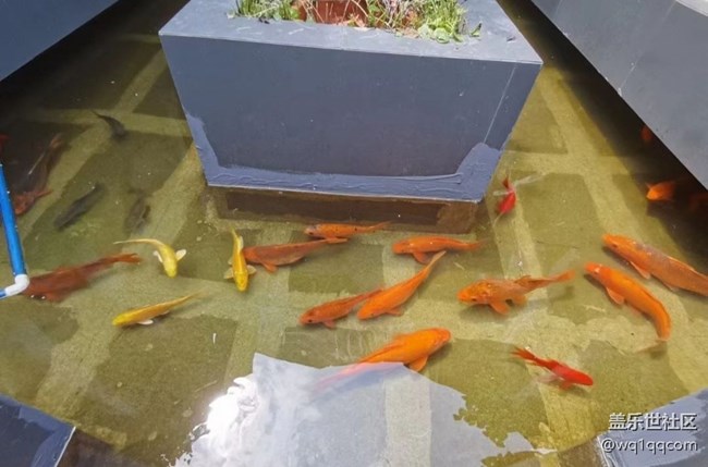 【春游记】咖啡小院